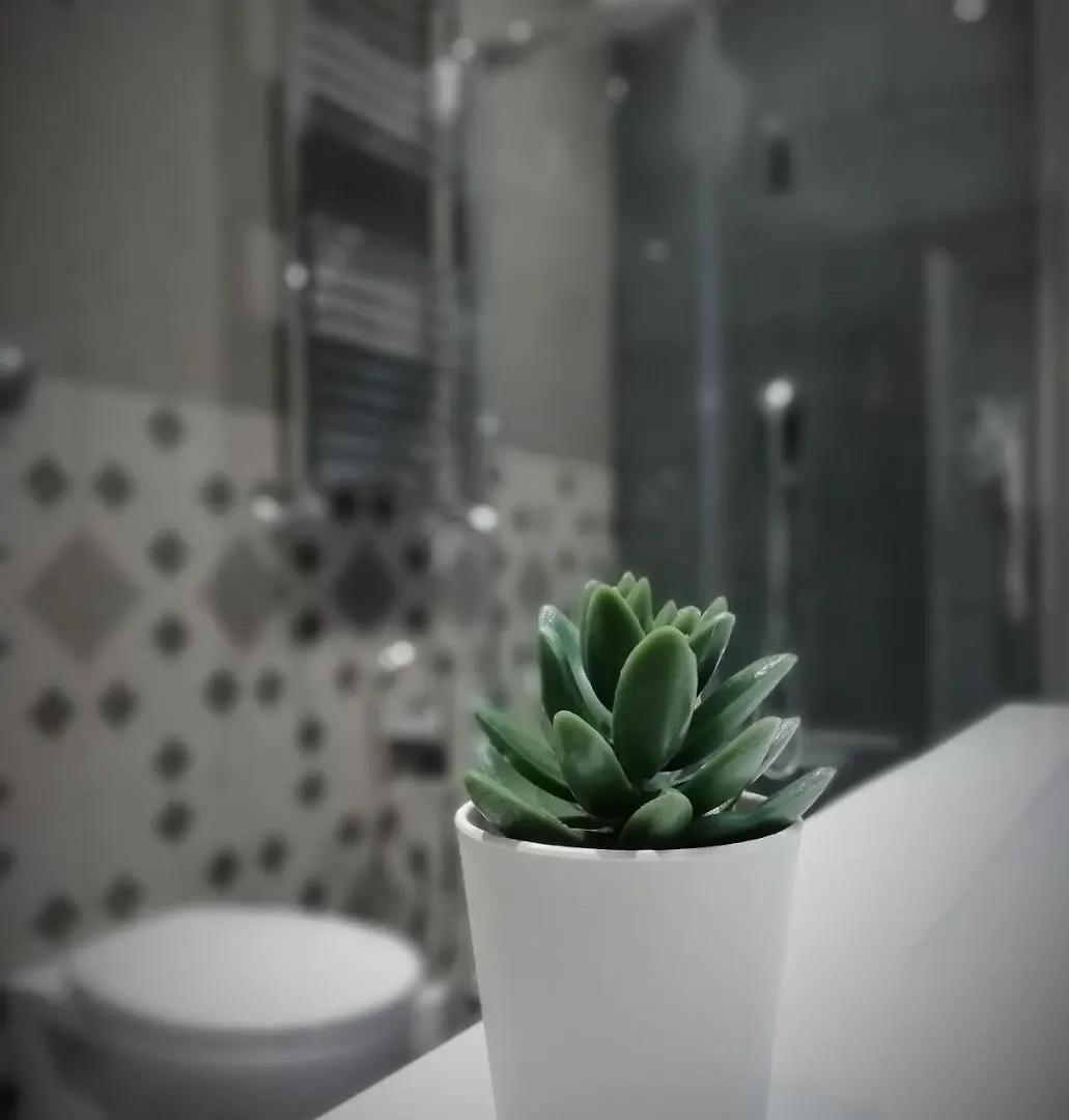 Domus Angelica Apartment Rome